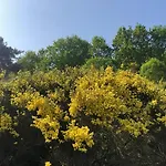 Ginster Mariendorf - Mit Garten, Gern Mit Hund, Wintergarten * Middelhagen