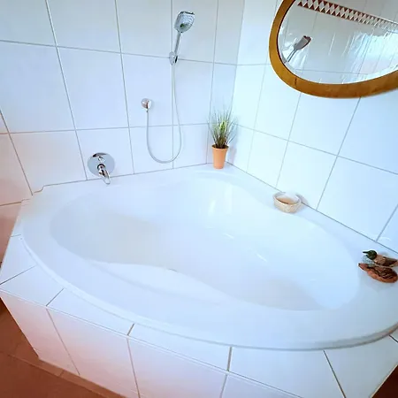 Ginster * 密德海根