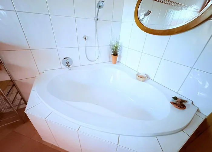 Ginster * 密德海根